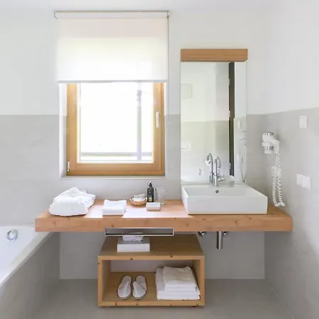 Aparthotel Saleghes Dolomites